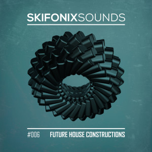Future House Constructions Artwork