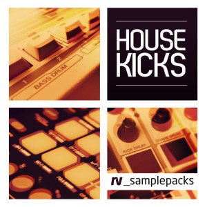 RV_HOUSE_KICKS_1000_X_1000