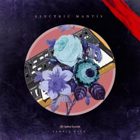 Splice Electric Mantis Sample Pack WAV
