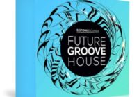 Skifonix Sounds Future Groove House WAV MiDi NATiVE iNSTRUMENTS MASSiVE