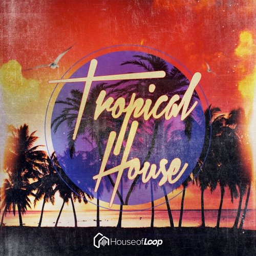 House Of Loop Tropical House