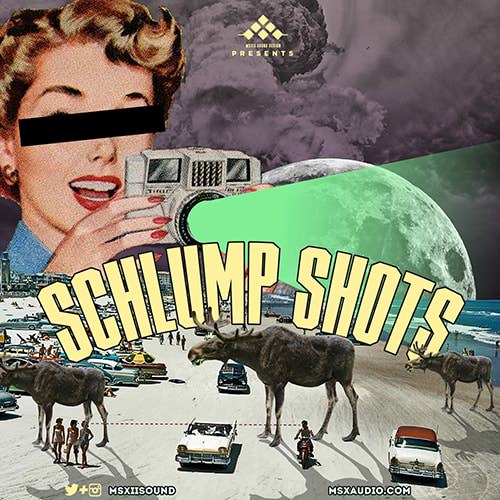 MSXII Sound Schlump Shots 1 WAV