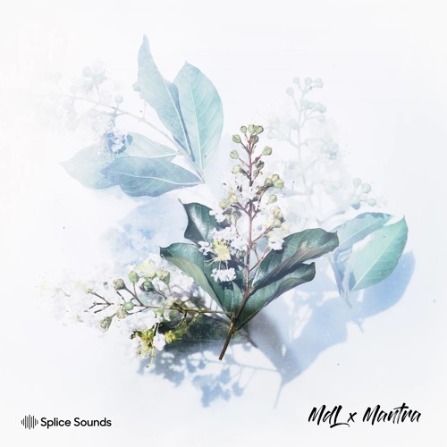 Splice MdL x Mantra Sample Pack WAV