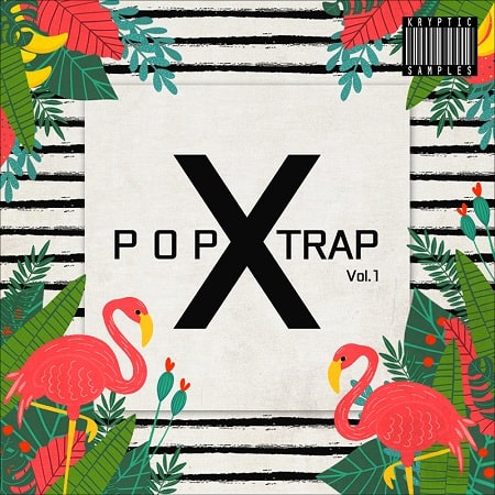 Kryptic Samples Pop X Trap Vol.1 WAV MIDI