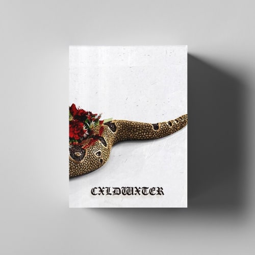 ENIGMA - CXLDWXTER (DRUMKIT)