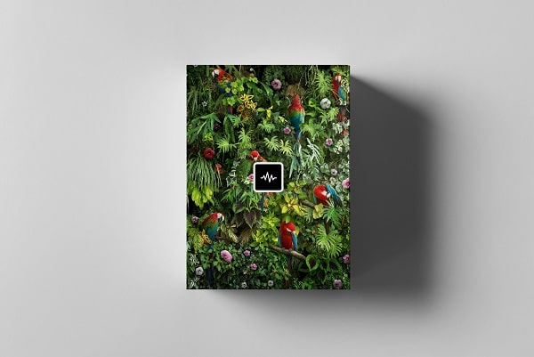 WavSupply TouchOfTrent Jungle (Sample Pack) WAV MIDI