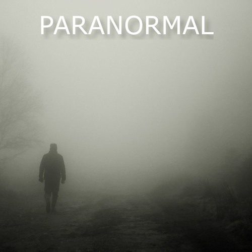 Glitchedtones Paranormal WAV