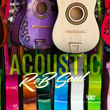Big Citi Loops Acoustic R&B Soul WAV