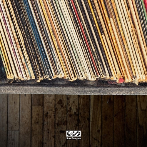 Soul Surplus Dungy Bins WAV