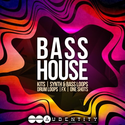 Audentity Records Bass House WAV