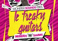 MS Le Freaky Guitars WAV REX