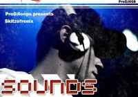 ProDJLoops Sounds Like Skitzofrenix WAV