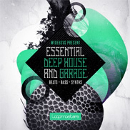 Wideboys Presents Deep House & Garage MULTIFORMAT
