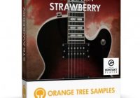 Orange Tree Evolution Strawberry KONTAKT