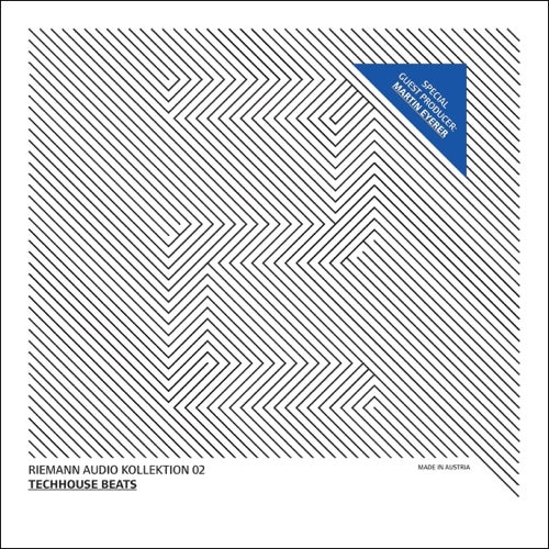 Riemann Kollektion 02 - Techhouse Beats feat Martin Eyerer WAV