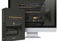Output Analog Brass & Winds Kontakt Library