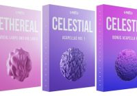 Cymatics Vocal Bundle 4th of July WAV