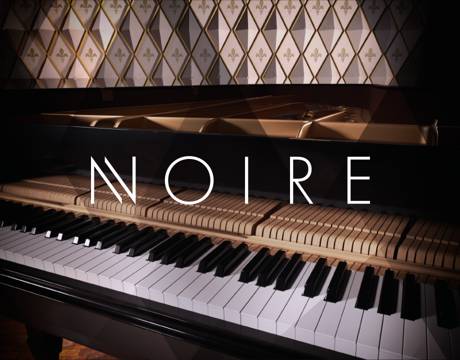 Native Instruments Noire v1.0.0 KONTAKT-SYNTHiC4TE