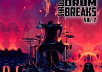 Shroom Vintage Drum Breaks Vol.2 WAV