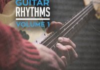New Beard Media African Guitar Rhythms Vol.1 WAV