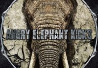 RawNois3 Angry Elephant Kicks WAV
