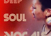 HQO DEEP SOUL VOCALS WAV