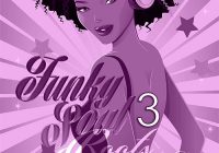 Big Citi Loops Funky Soul Roots Returns Part 3 WAV