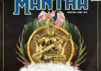Todd Pritch Mantra (Guitar Loop Kit) WAV