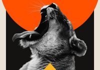 Noiiz Reggaeton Heat by Retrohandz WAV
