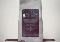 Matt McGinley of Gym Class Heroes - Coffee Breaks WAV