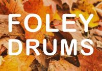 Noiiz Foley Drums WAV MIDI
