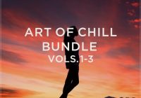 Laniakea Sounds Art Of Chill Bundle