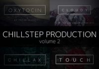 Freak Music Chillstep Production 2 WAV MIDI PRESETS