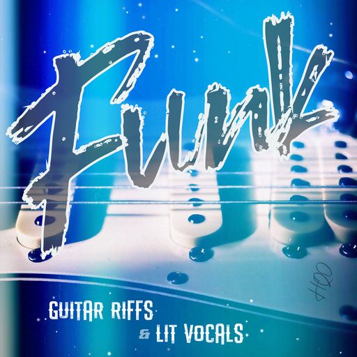 HQO FUNK GUITAR RIFFS and LIT VOCALS WAV