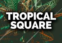 Smokey Loops Tropical Square WAV MIDI