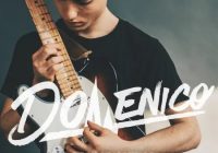 Splice Sounds DOMENICO: Organica Guitar WAV