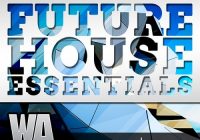 Future House Essentials WAV MIDI FLP PRESETS TUTORIAL