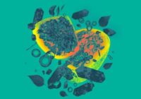 Fabian Mazur presents ELIXIR The Jungle WAV