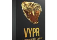 Cymatics VYPR + Bonuses FULL PACK