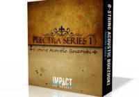 ISW Plectra Series 1: 8-String Acoustic Bouzouki v1.1 KONTAKT