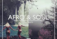 Shobeats Afro And Soul WAV MIDI PRESETS