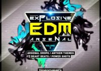 Singomakers Explosive EDM Arsenal Vol 2 MULTIFORMAT