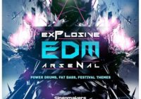 Singomakers Explosive EDM Arsenal WAV PRESETS
