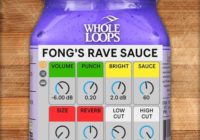 Whole Loops FONGS RAVE SAUCE