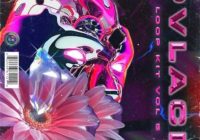 PVLACE Loop Kit Vol 5 WAV