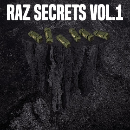 RAZ Sectrets VOL.1 WAV FLP