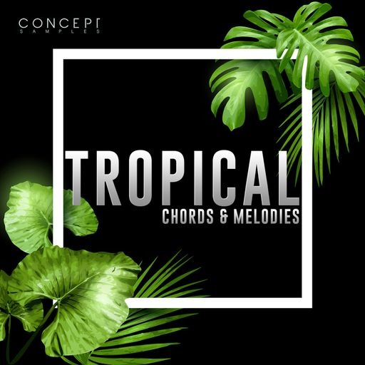 Concept Samples Tropical Chords & Melodies WAV