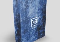 Kyle Beats Iceberg Melody Loop Kit WAV