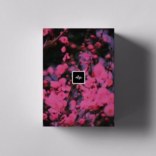Dez Wright Blossom Loop Kit WAV
