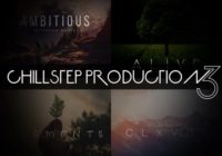 Freak Music Chillstep Production 3